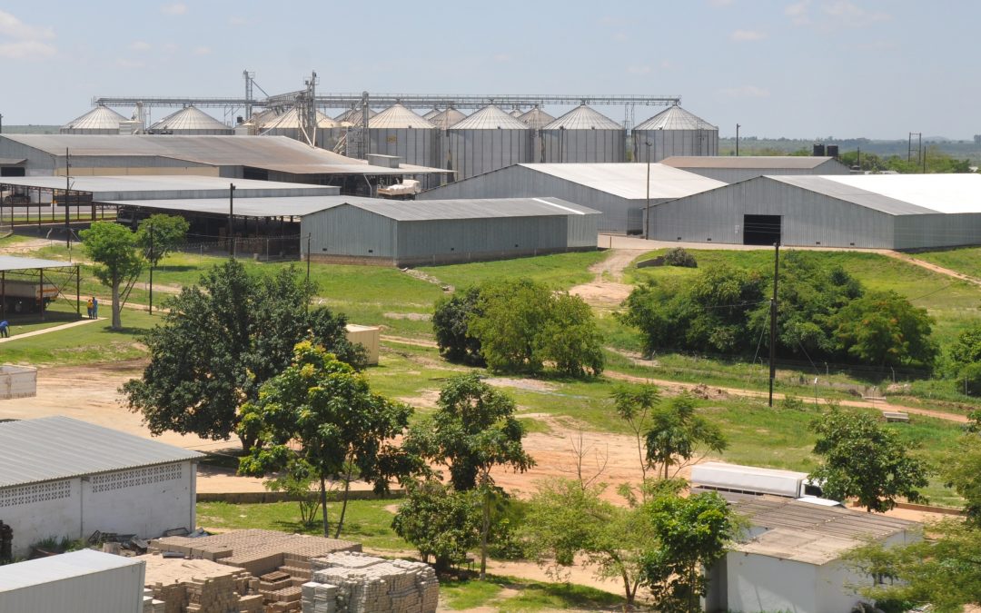 A Agriterra está a melhorar os meios de subsistência e o acesso ao mercado para mais de 250.000 pequenos agricultores.