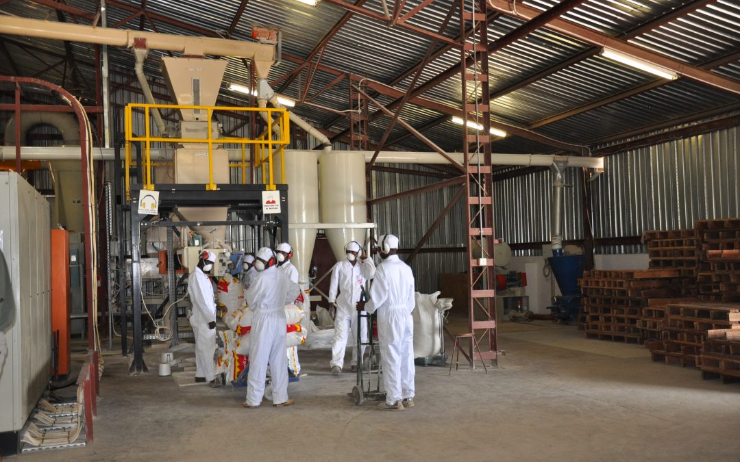 Appointment of CEO and Board Changes