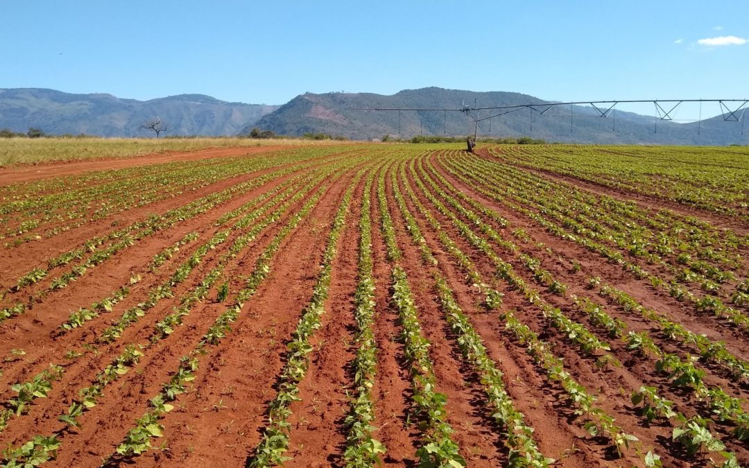 Half Year Results 2021