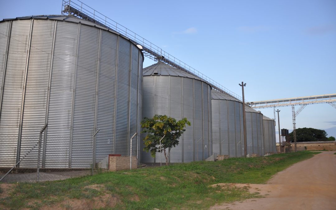 Annual Report & Accounts 2021