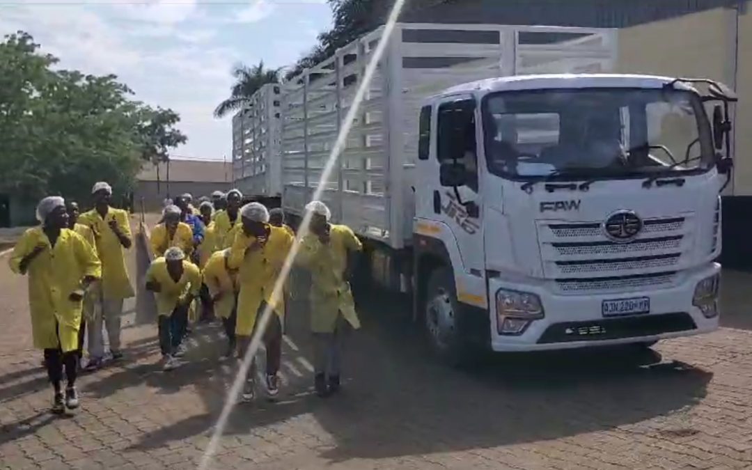 Welcome for the New Cattle Trucks Arriving in Chimoio